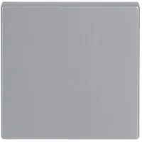 Busch-Jaeger schakelwip Future Linear aluzilver (1786-83)