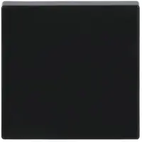 Busch-Jaeger schakelwip Future Linear antraciet glans (1786-81)