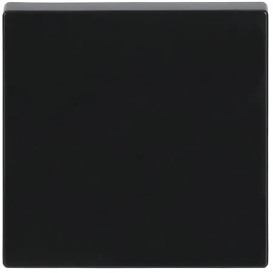 Busch-Jaeger schakelwip Future Linear antraciet glans (1786-81)