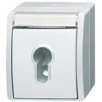 Busch-Jaeger sleutlschak opb ip44ocn-alp (2733 SLW-54)