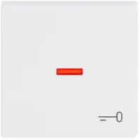 Busch-Jaeger schakelwip controlevenster symbool sleutel Future Linear studiowit glans (1789 TR-84)