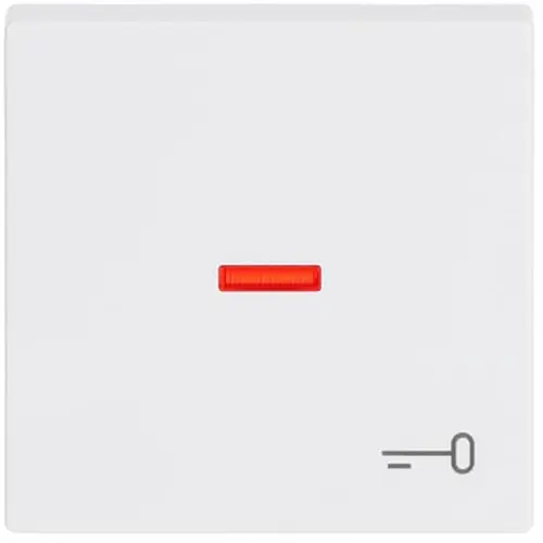 Busch-Jaeger schakelwip controlevenster symbool sleutel Future Linear studiowit glans (1789 TR-84)