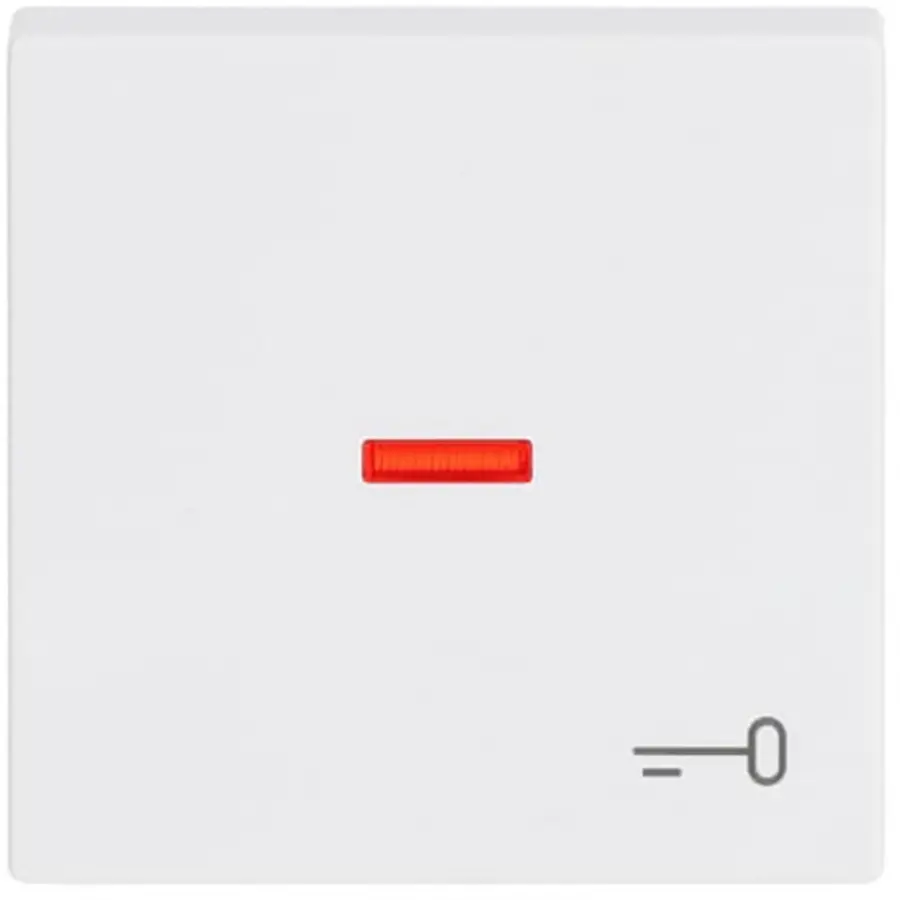 Busch-Jaeger schakelwip controlevenster symbool sleutel Future Linear studiowit glans (1789 TR-84)