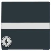 Busch-Jaeger cpl+tekstkd+eh.slot ver a-a (2118 GKSLN/11-35)