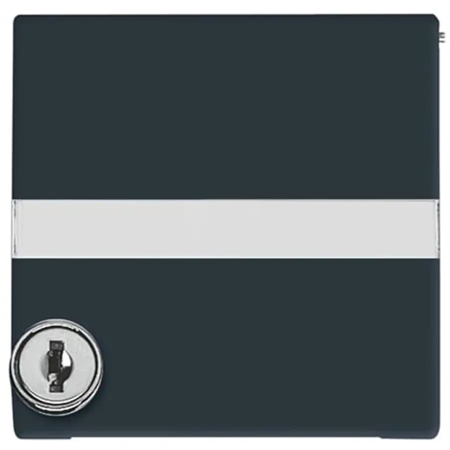 Busch-Jaeger cpl+tekstkd+eh.slot ver a-a (2118 GKSLN/11-35)