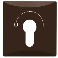 Busch-Jaeger cpl slot 2733usl101 ip44brn (2155 SLPZ-31)