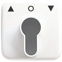 Busch-Jaeger afdekking met pijlsymbolen voor inbouwsleutelschakelaar Reflex SI (2557 PZ-214-101)