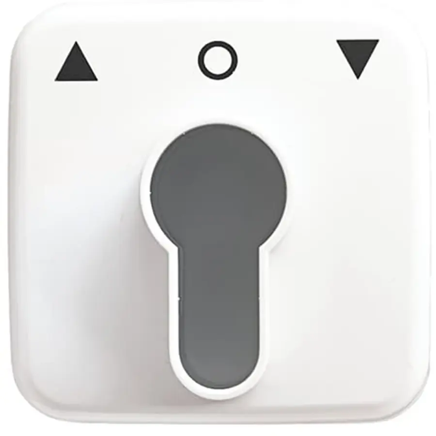 Busch-Jaeger afdekking met pijlsymbolen voor inbouwsleutelschakelaar Reflex SI (2557 PZ-214-101)