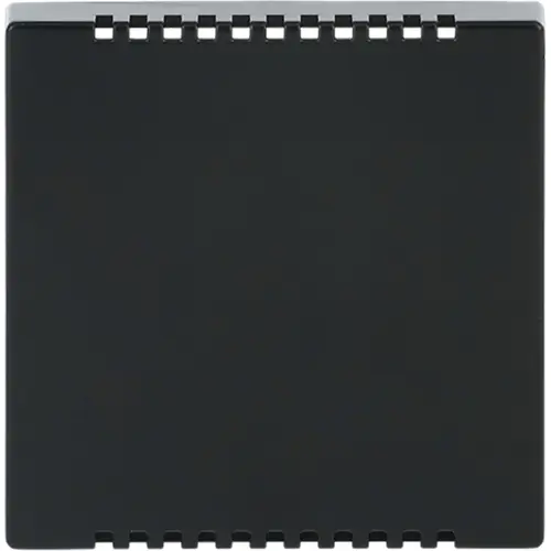 Busch-Jaeger cpl v koelelement antraciet (6541-81)