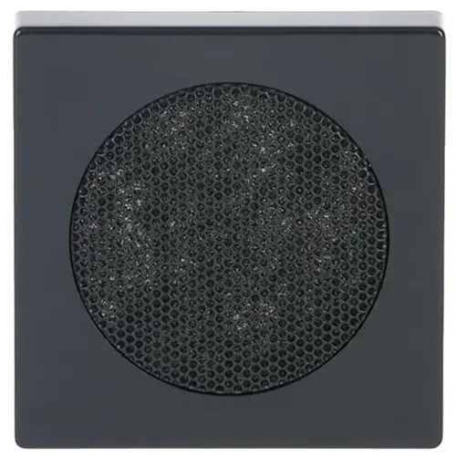 Busch-Jaeger centraalplaat voor luidspreker Future Linear antraciet glans (8253-81)