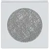 Busch-Jaeger centraalplaat voor luidspreker Future Linear aluzilver mat (8253-83)