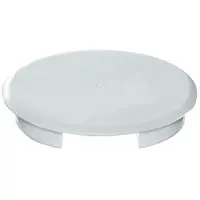 Busch-Jaeger blindplaat 5" audio (8229/3)