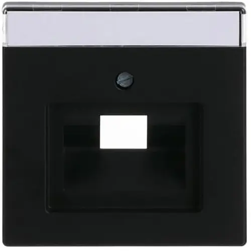 Busch-Jaeger centraalplaat RJ45 wandcontactdoos Future Linear zwart mat (1803-885)