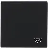 Busch-Jaeger schakelwip symbool licht Future Linear zwart mat (2520 LI-885) Busch-Jaeger schakelwip symbool licht Future Linear zwart mat (2520 LI-885)