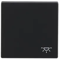 Busch-Jaeger schakelwip symbool licht Future Linear zwart mat (2520 LI-885)