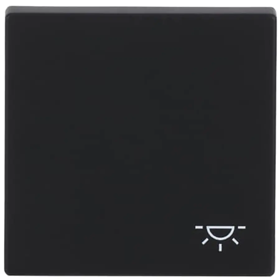 Busch-Jaeger schakelwip symbool licht Future Linear zwart mat (2520 LI-885)
