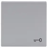 Busch-Jaeger schakelwip symbool sleutel Future Linear aluzilver (2520 TR-83)