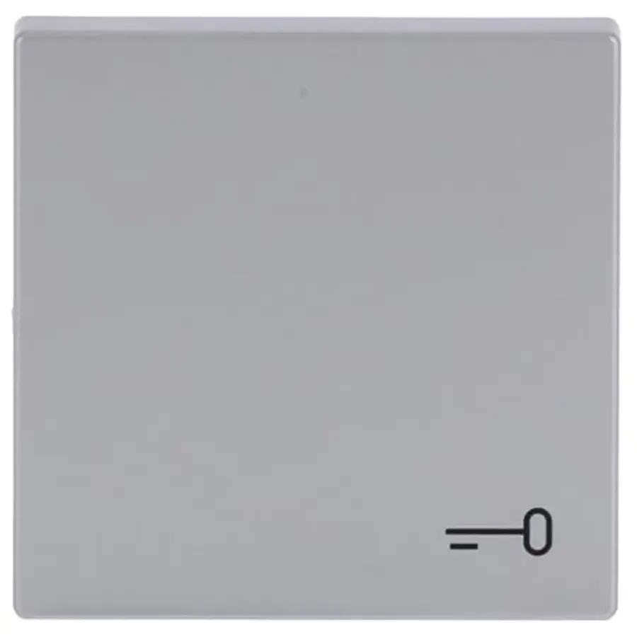 Busch-Jaeger schakelwip symbool sleutel Future Linear aluzilver (2520 TR-83)