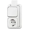 Busch-Jaeger combinatie wisselschakelaar/wandcontactdoos met randaarde K/P-25 opbouw AP plus wit (2601/6/2300 EAPJW) Busch-Jaeger combinatie wisselschakelaar/wandcontactdoos met randaarde K/P-25 opbouw AP plus wit (2601/6/2300 EAPJW)