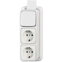 Busch-Jaeger combinatie wisselschakelaar/2x wandcontactdoos RA K/P-25 opbouw AP plus wit (2601/6/2300/2EAPJW)