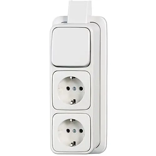 Busch-Jaeger combinatie wisselschakelaar/2x wandcontactdoos RA K/P-25 opbouw AP plus wit (2601/6/2300/2EAPJW)