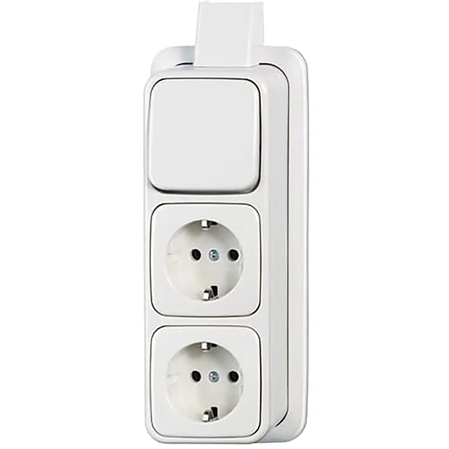 Busch-Jaeger combinatie wisselschakelaar/2x wandcontactdoos RA K/P-25 opbouw AP plus wit (2601/6/2300/2EAPJW)