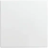 Busch-Jaeger bed. elem 1582-0-0401 (1576 C-914)