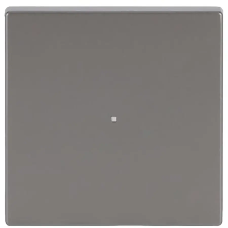 Busch-Jaeger bedieningswip 1-voudig tbv bedieningselement flex 1-voudig Pure Stainless Steel (6230-10-866)