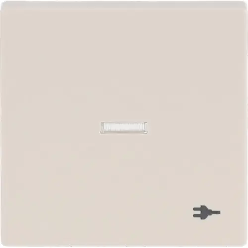 Busch-Jaeger schakelwip controlevenster symbool stekker Future Linear creme (1789 ST-82)