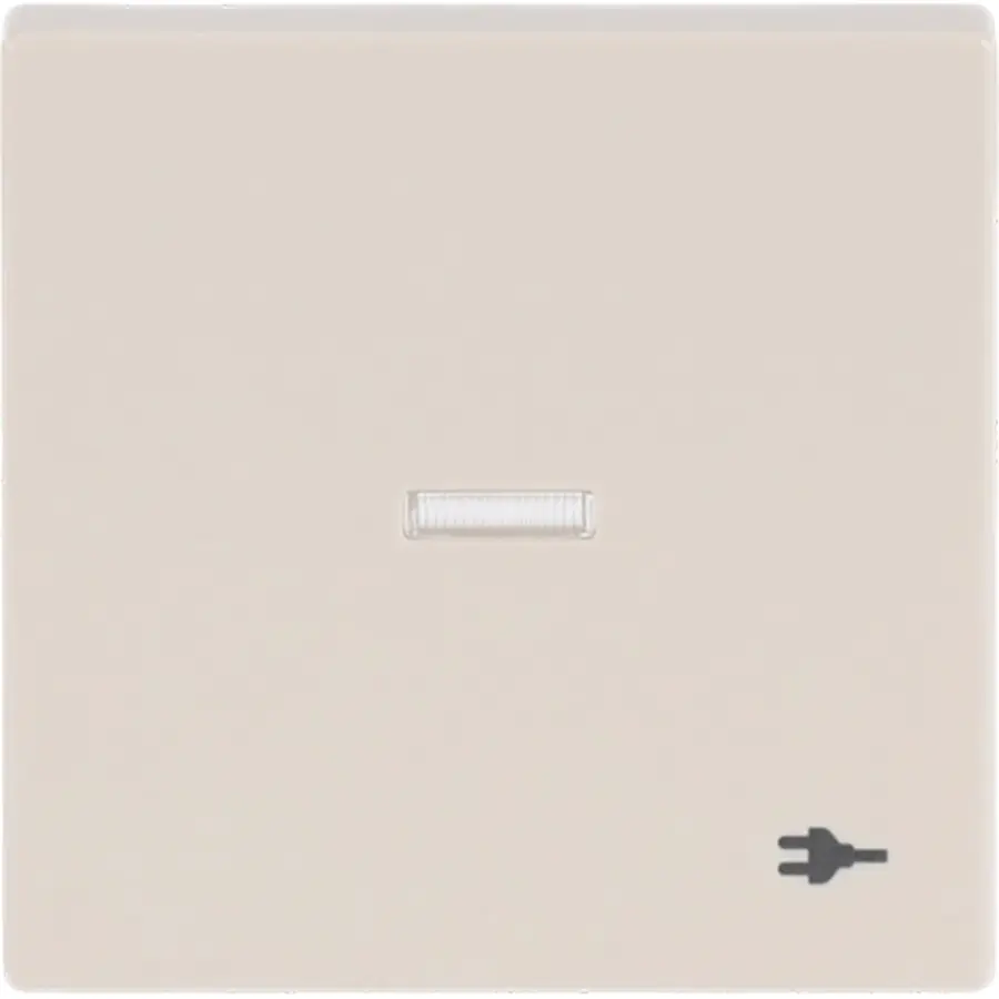 Busch-Jaeger schakelwip controlevenster symbool stekker Future Linear creme (1789 ST-82)