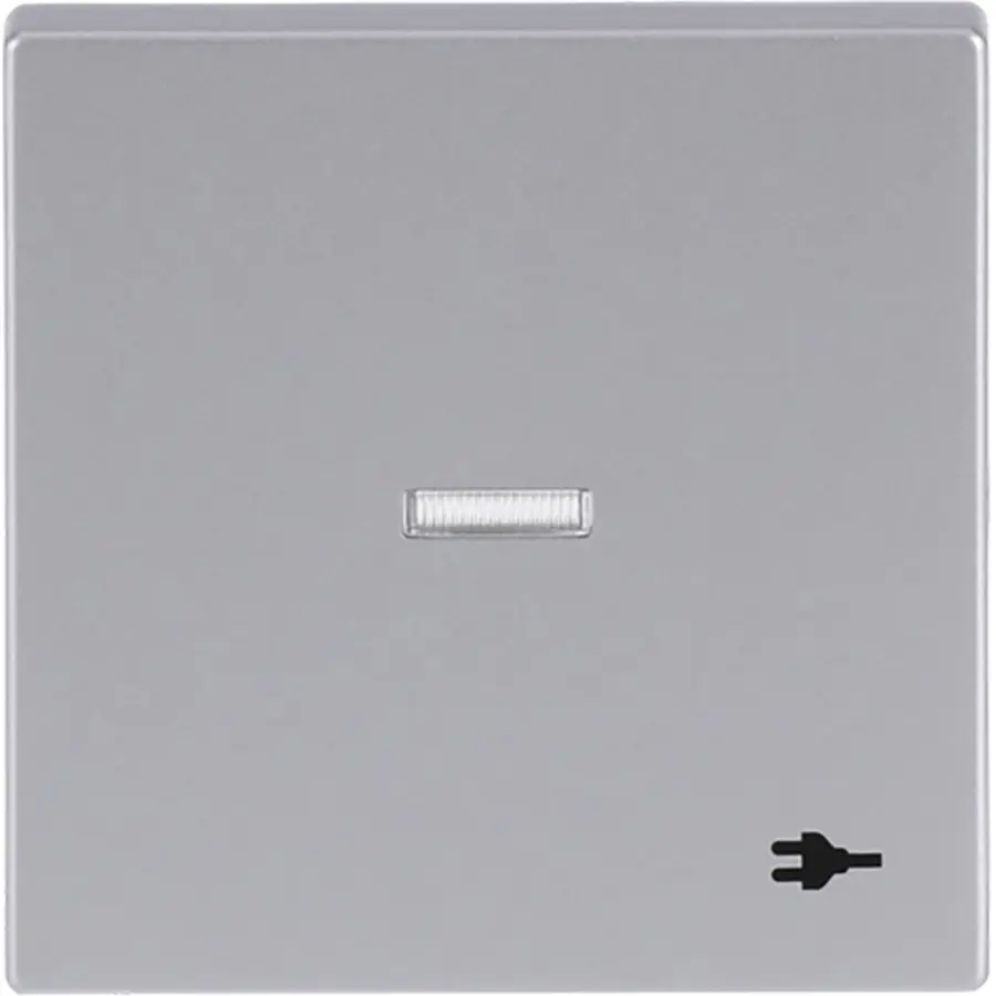 Busch-Jaeger schakelwip controlevenster symbool stekker Future Linear aluzilver (1789 ST-83)