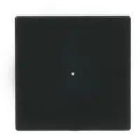 Busch-Jaeger bedieningswip 1-voudig tbv bedieningselement flex 1-voudig Future Linear antraciet glans (6230-10-81)