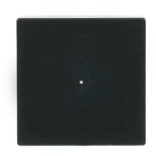 Busch-Jaeger bedieningswip 1-voudig tbv bedieningselement flex 1-voudig Future Linear antraciet glans (6230-10-81)