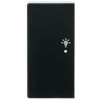 Busch-Jaeger bedieningswip links symbool licht tbv bedieningselement flex 2-voudig Future Linear antraciet glans (6231-21-81)