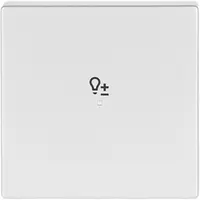 Busch-Jaeger bedieningswip 1-voudig met symbool dimmer Future Linear aluzilver (6234-10-83)