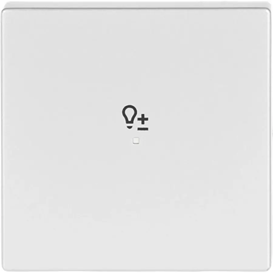Busch-Jaeger bedieningswip 1-voudig met symbool dimmer Future Linear aluzilver (6234-10-83)