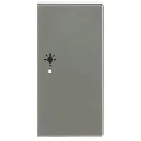 Busch-Jaeger bedieningswip rechts symbool licht tbv bedieningselement flex 2-voudig Pure Stainless Steel (6231-22-866)