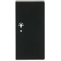 Busch-Jaeger bedieningswip rechts symbool licht tbv bedieningselement flex 2-voudig Future Linear zwart mat (6231-22-885)