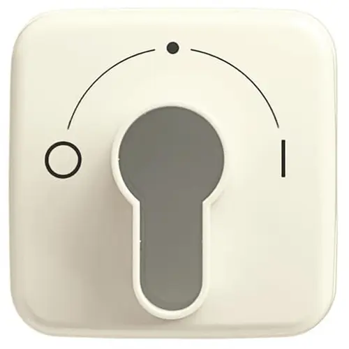 Busch-Jaeger afdekking met opdruk voor inbouwsleutelschakelaar Standaard SI (2557 SLPZ-212-101)