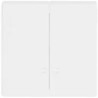 Busch-Jaeger schakelwip 2-voudig met controlevenster Future Linear studiowit glans (1785 K-84)