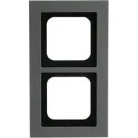 Busch-Jaeger afdekraam 2-voudig Axcent platin (1722-270)