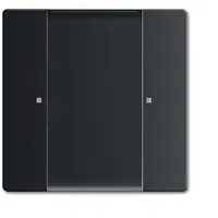 Busch-Jaeger radiofreq 2cka006730a0119 (6735/01-885)