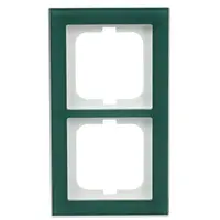 Busch-Jaeger afdekraam 2-voudig Axcent glas avocado (1722-226)