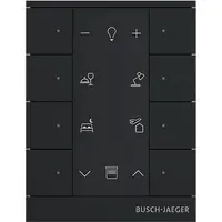 Busch-Jaeger Busch-free@home tastsensor bussysteem (SB-F-8.0.11-885)