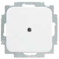 Busch-Jaeger blinddeksel incl. draagframe Reflex SI (2538-214)