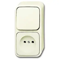 Busch-Jaeger combinatie wisselschakelaar/wandcontactdoos zonder randaarde opbouw AP plus creme (2601/6/2300 AP-503)