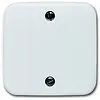 Busch-Jaeger centraalplaat voor trekschakelaar 2610/6U Reflex SI (1796-214) Busch-Jaeger centraalplaat voor trekschakelaar 2610/6U Reflex SI (1796-214)