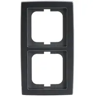 Busch-Jaeger afdekraam 2-voudig Solo mat-chroom (1722-80)