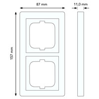 Busch-Jaeger afdekraam 2-voudig Solo mat-chroom (1722-80)