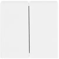 Busch-Jaeger schakelwip 2-voudig Future Linear studiowit glans (1785-84)